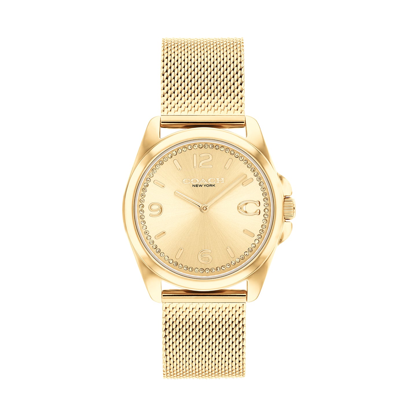 Coach 14504144 Women's Gold Stainless Steel Mesh Bracelet and Champagne Dial Quartz Watch
