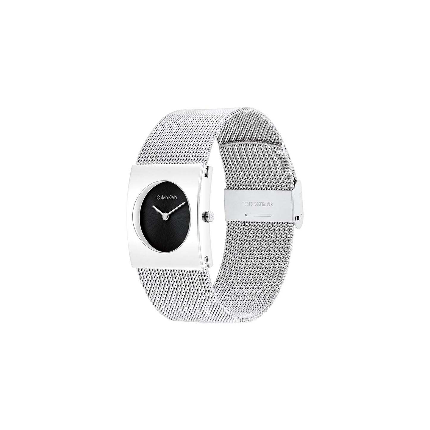 Calvin Klein 25100061 Women's Steel Watch