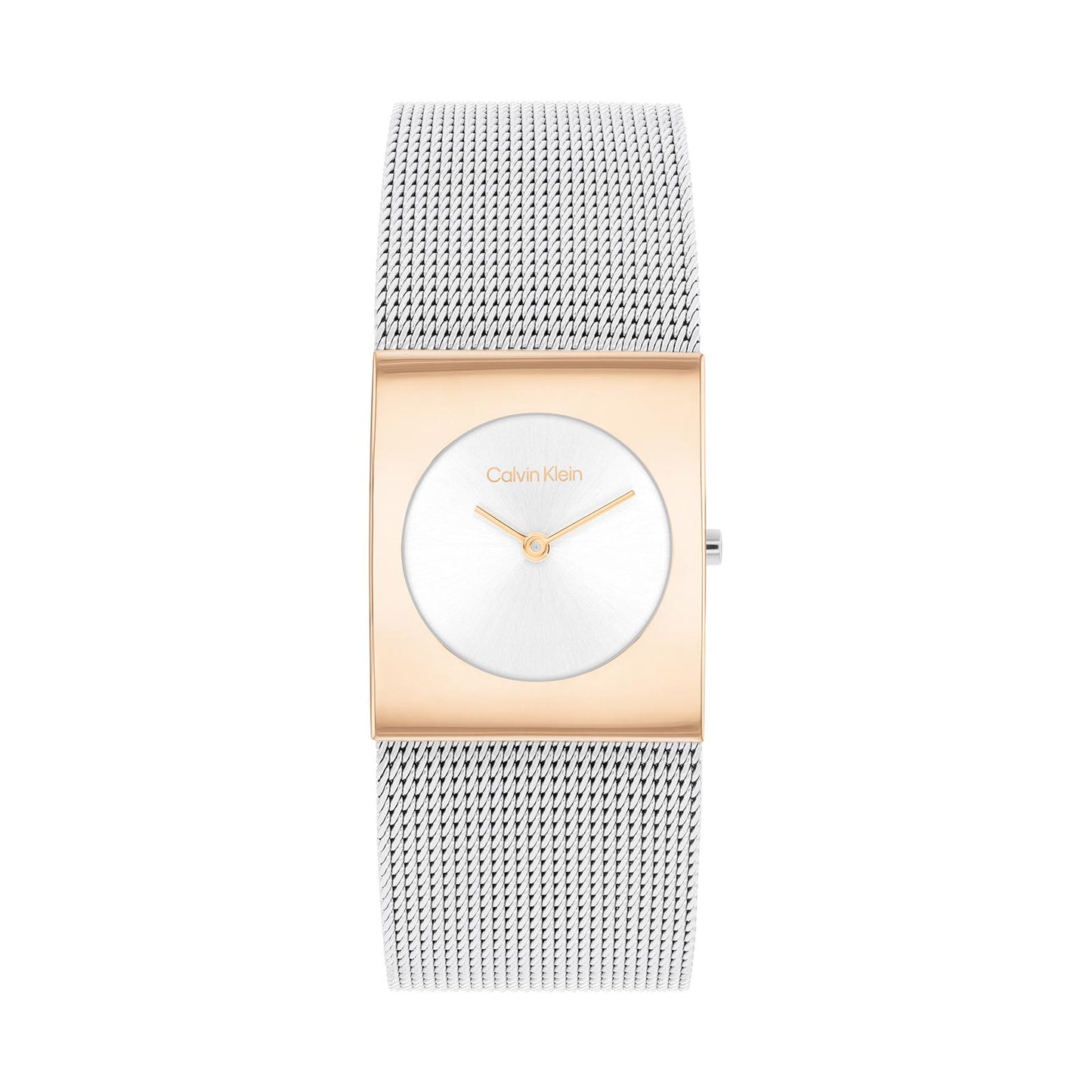 Calvin Klein 25100063 Women's Steel Mesh Watch
