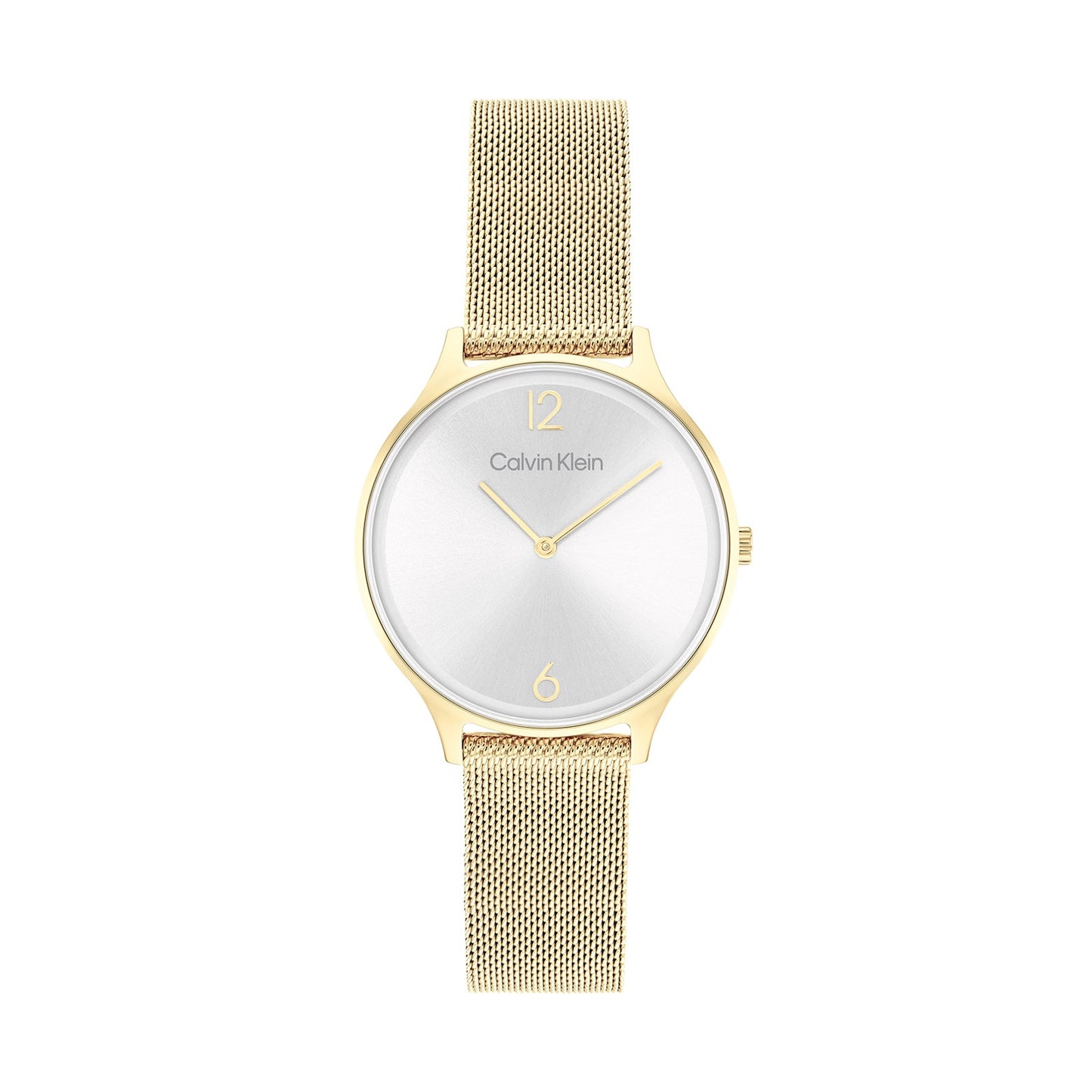 Calvin Klein 25200003 Women's Steel Watch