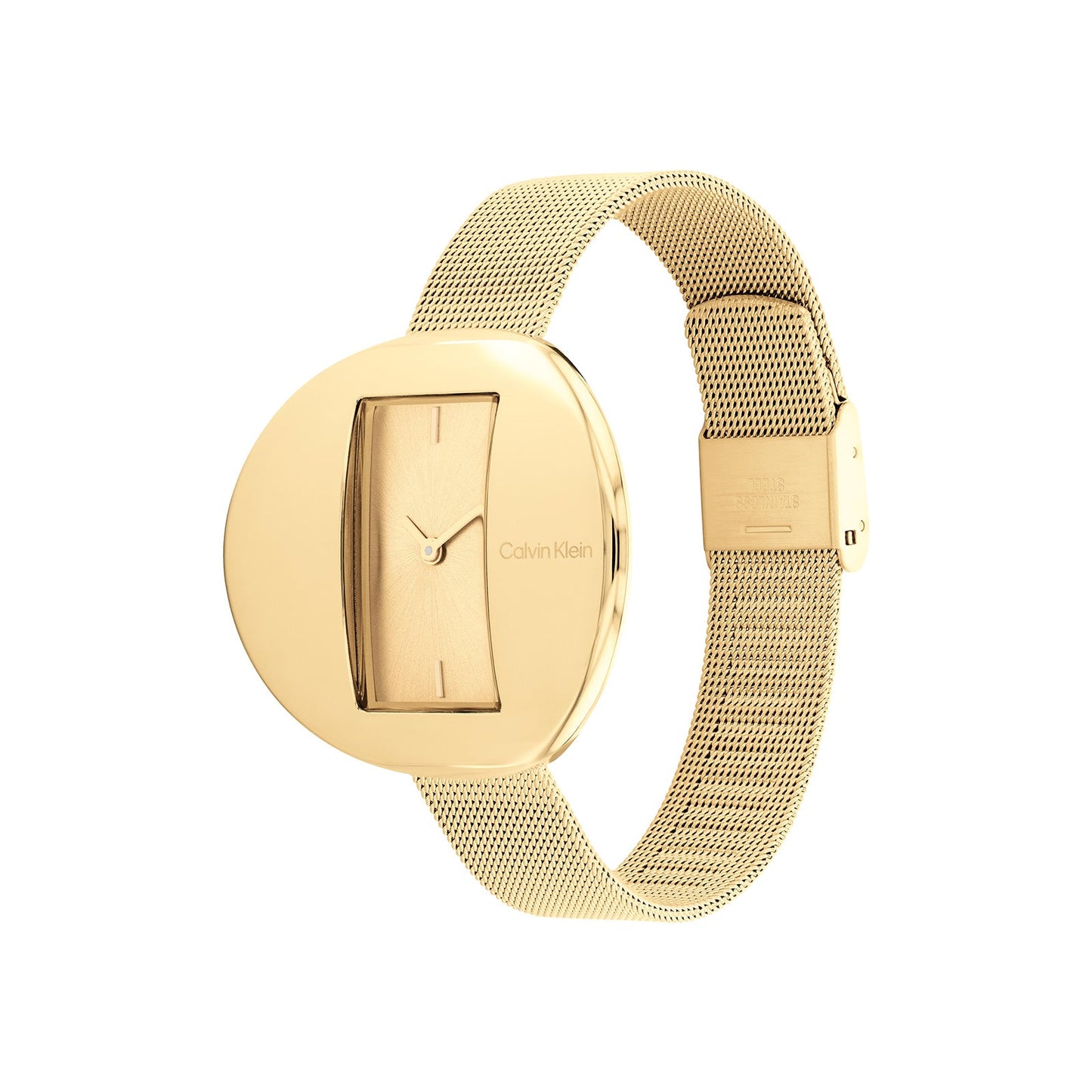 Calvin Klein 25200146 Women's Steel Watch
