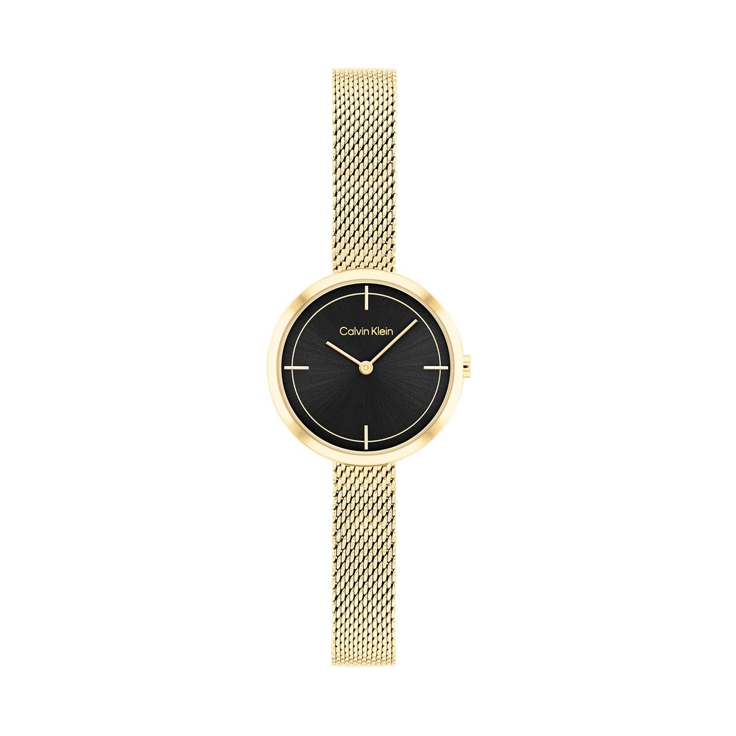 Calvin Klein 25200186 Women's Steel Mesh Watch