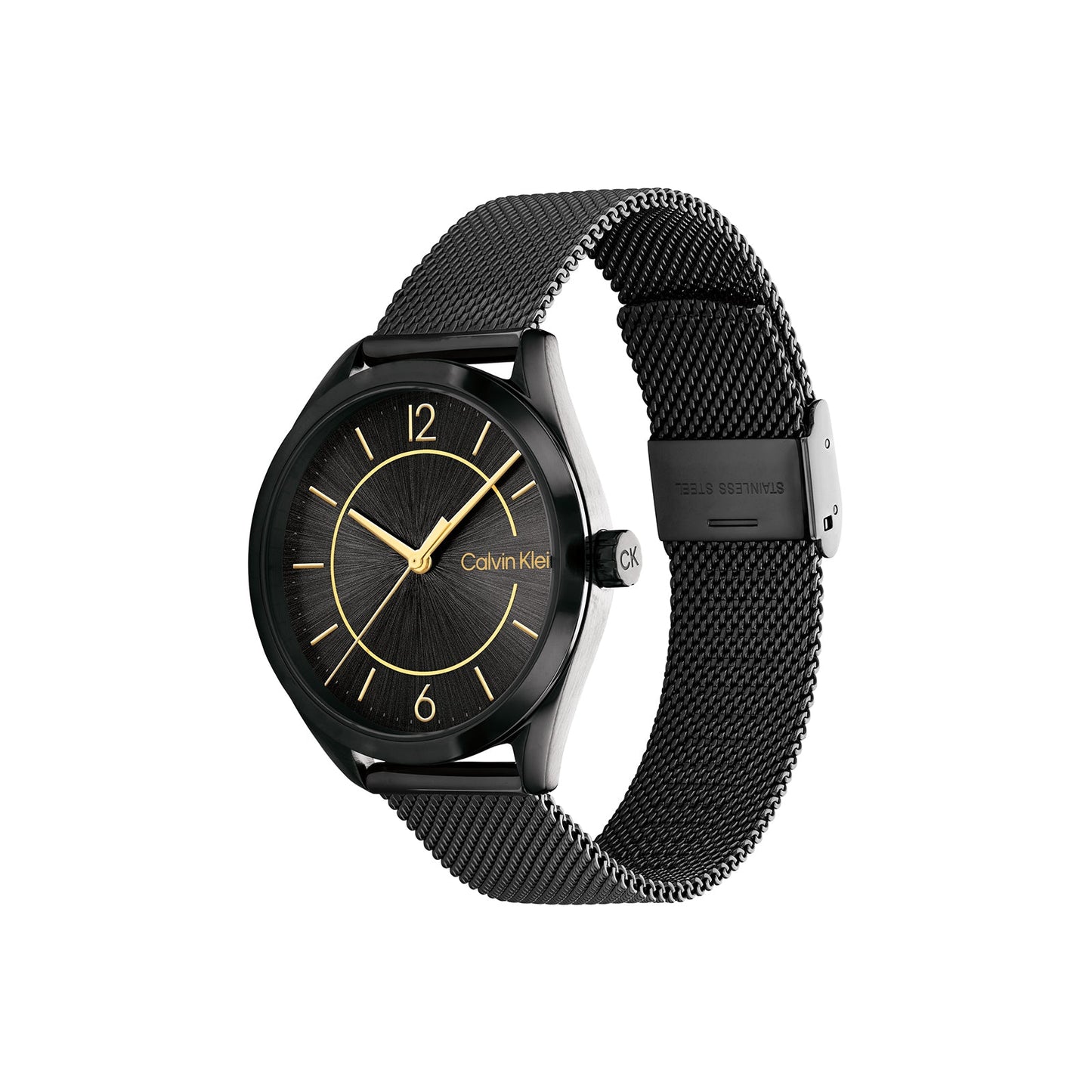 Calvin Klein 25200194 Women's Steel Mesh Watch