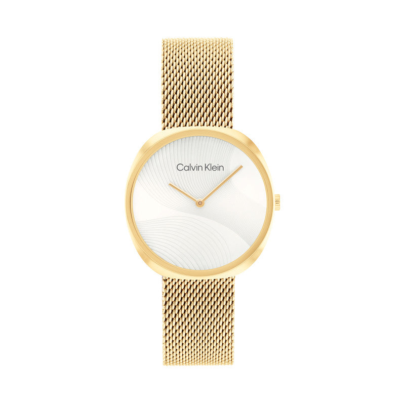 Calvin Klein 25200246 Women's Steel Mesh Watch