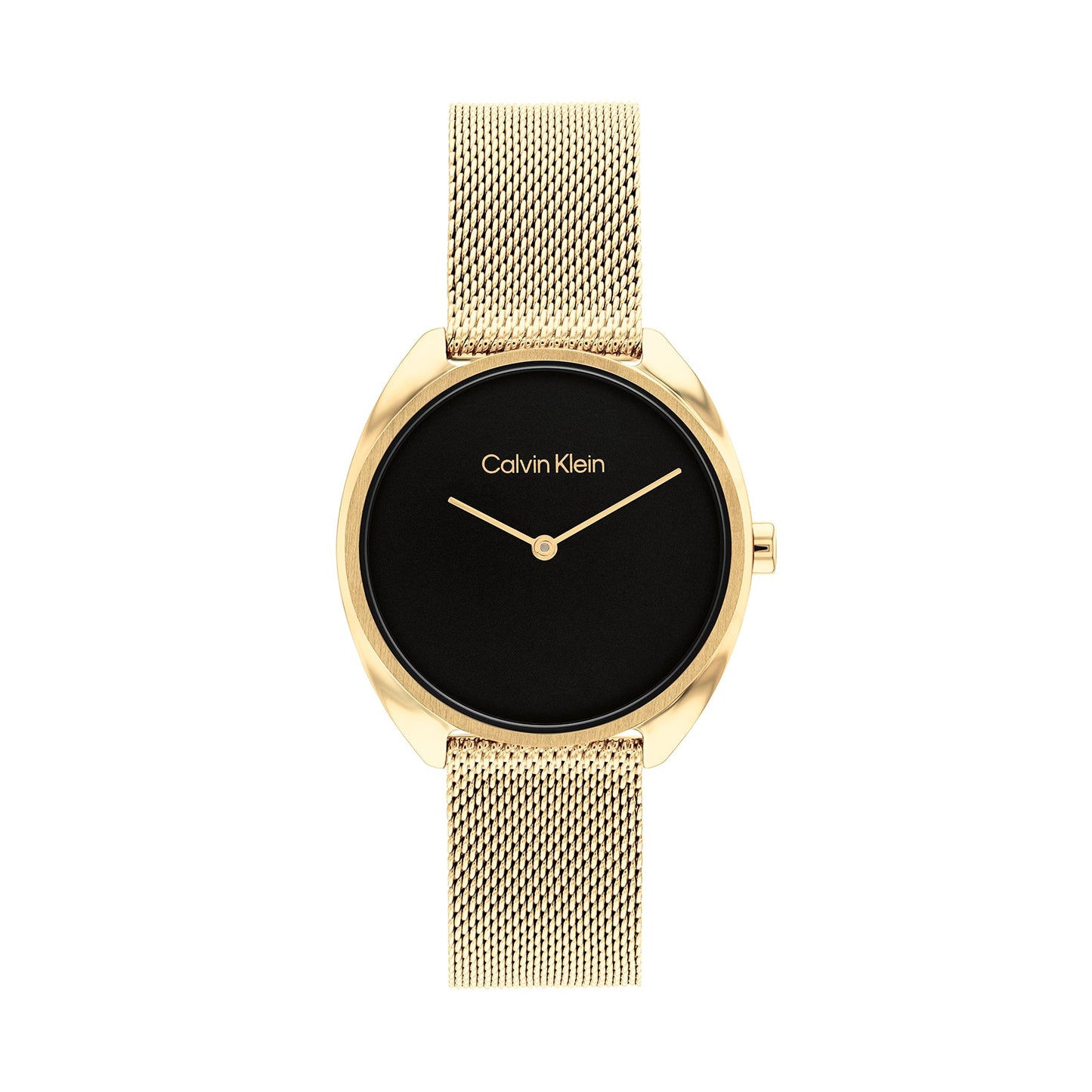 Calvin Klein 25200271 Women's Steel Mesh Watch