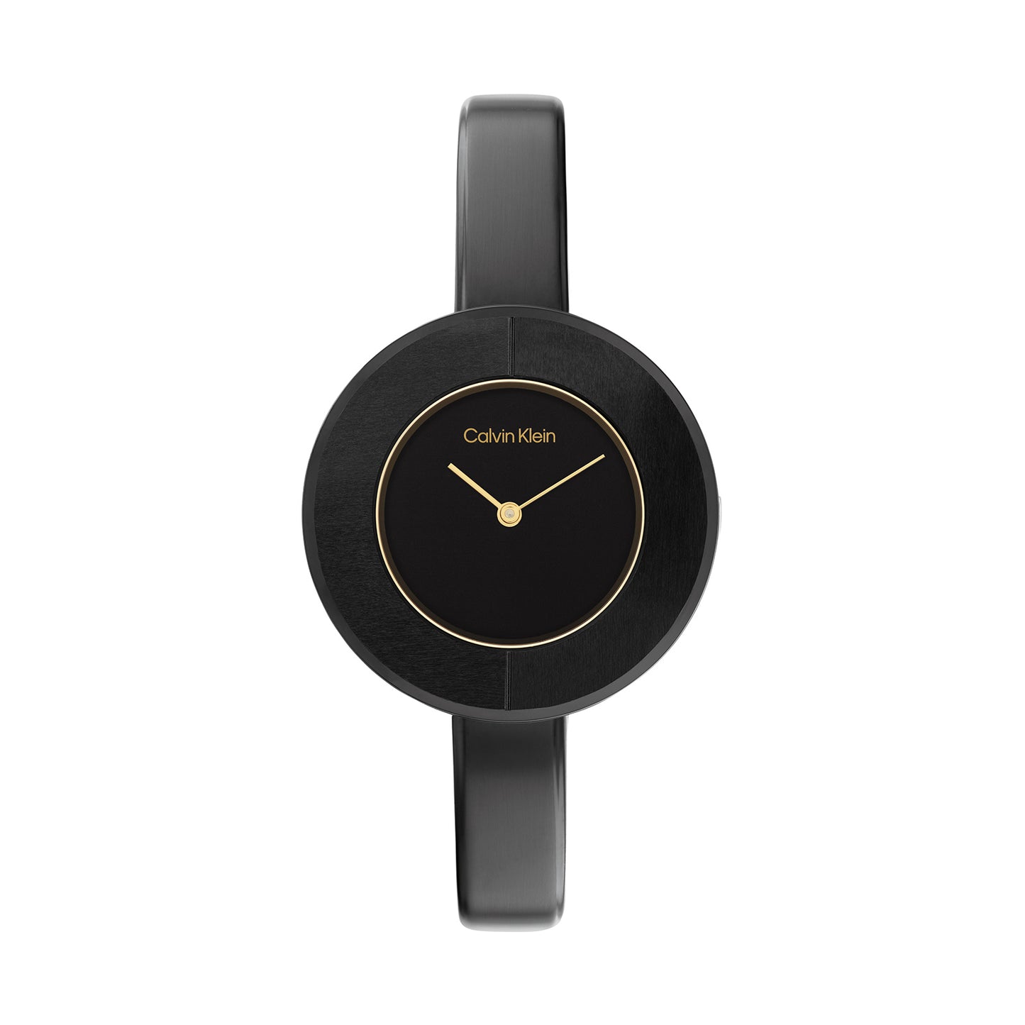 Calvin Klein 25200024 Women's Steel Watch