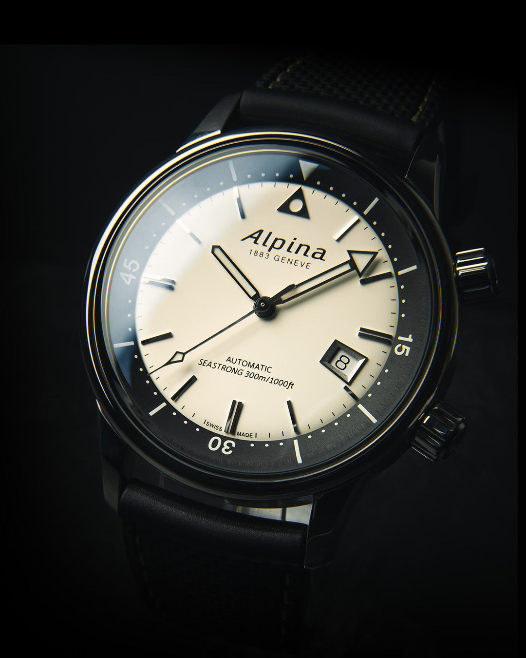 Alpina Seastrong Diver 300 Automatic Silver AL-525S4H6