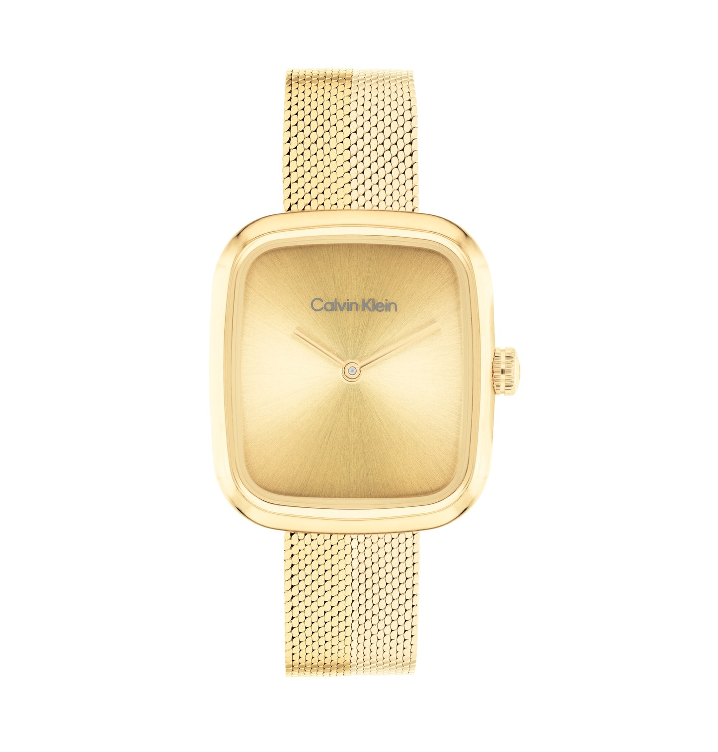 Calvin Klein 25100099 Ionic Plated Thin Gold Steel Mesh Bracelet Women's Watch