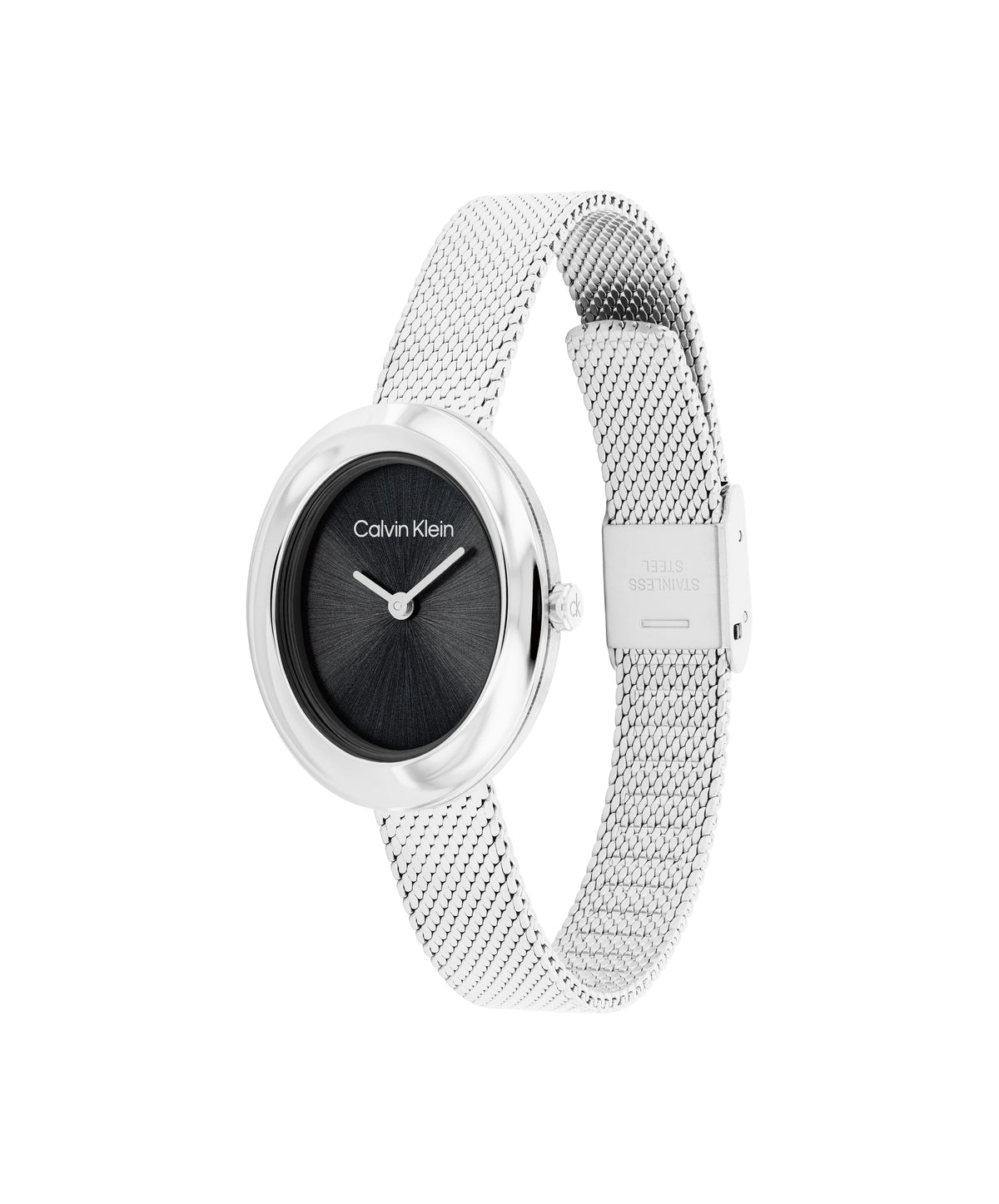 Calvin Klein 25100151 Women's Stainless Steel Mesh Watch