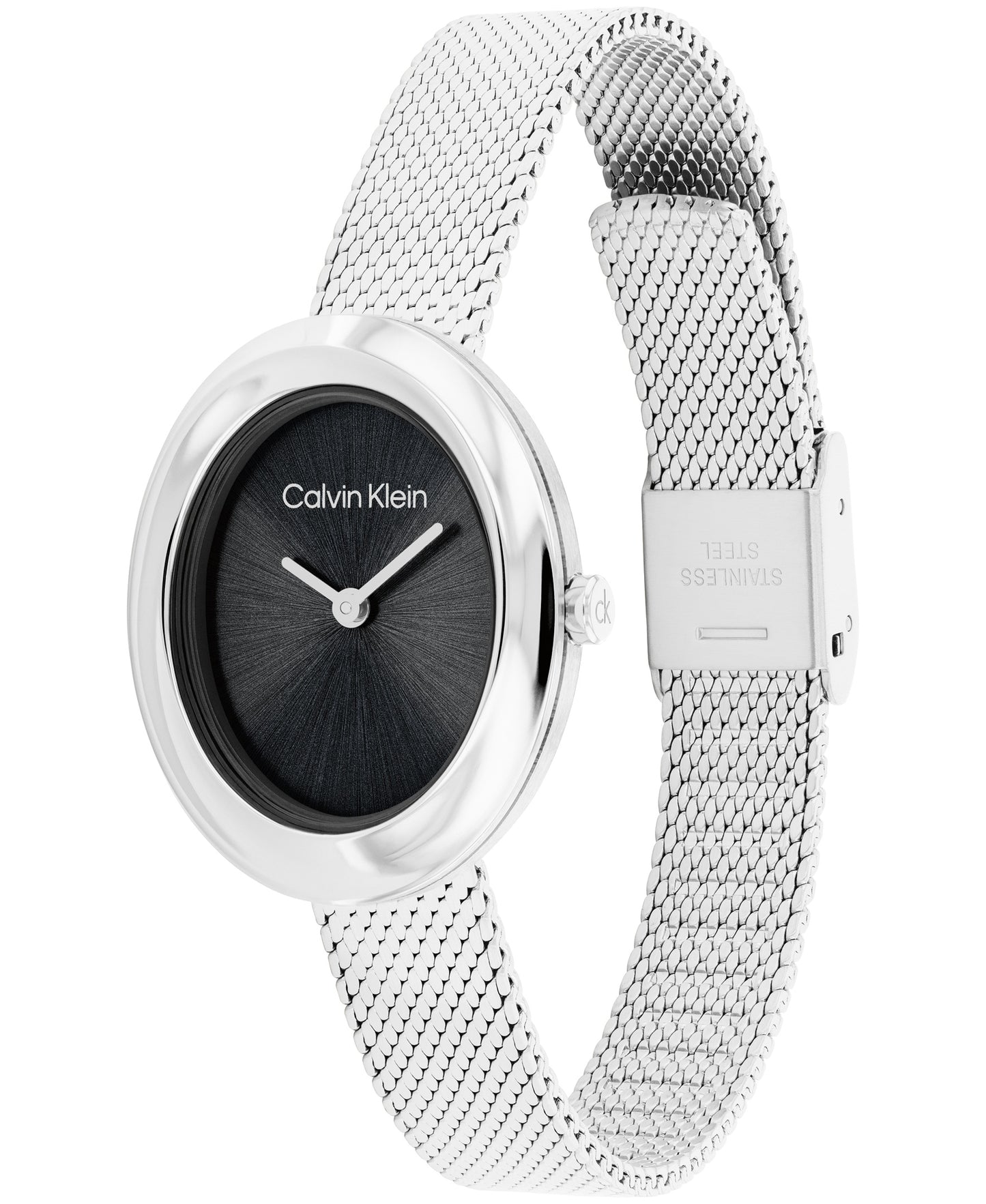 Calvin Klein 25100151 Women's Stainless Steel Mesh Watch