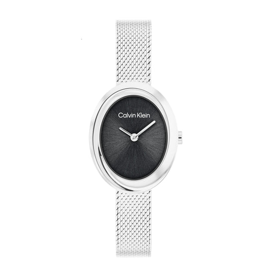 Calvin Klein 25100151 Women's Stainless Steel Mesh Watch