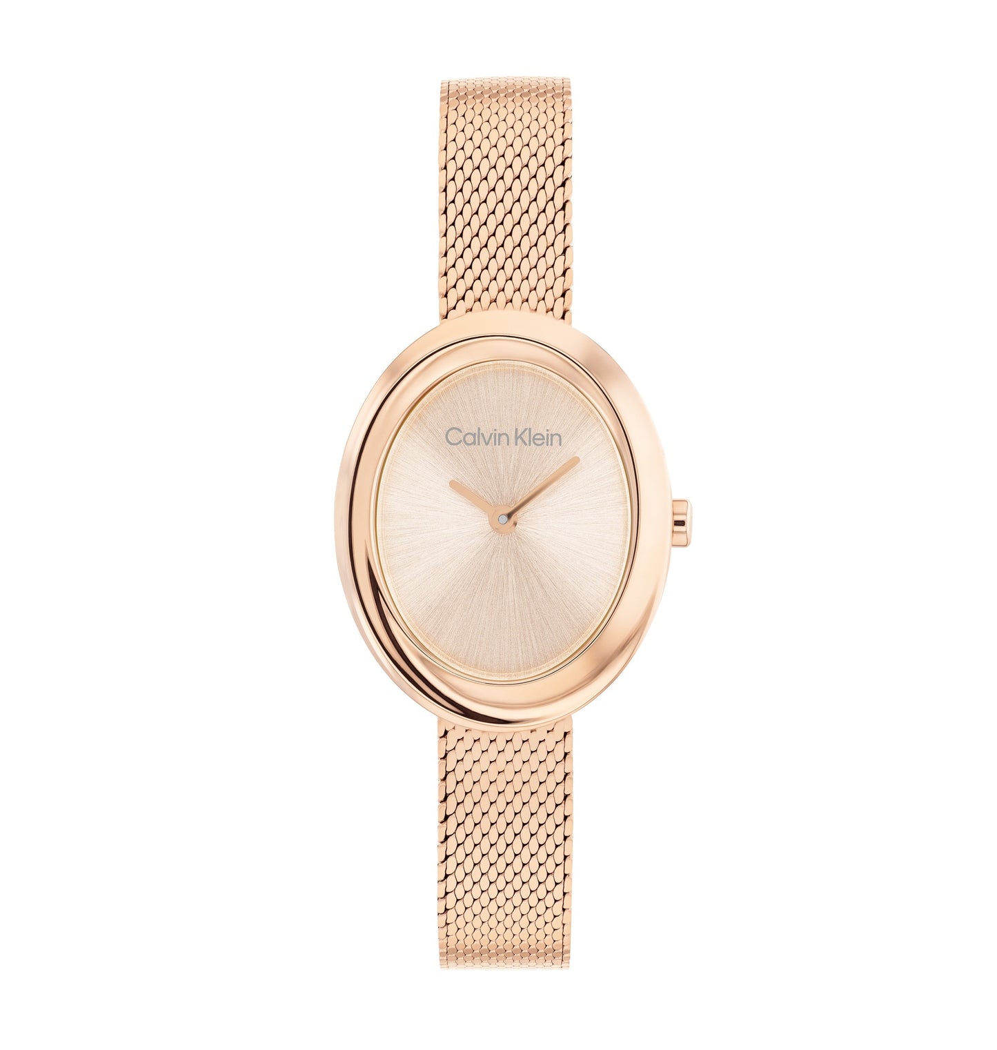 Calvin Klein 25100153 Women's Ionic Plated Rose Gold Steel Watch