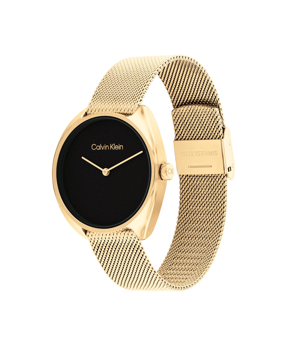 Calvin Klein 25200271 Women's Steel Mesh Watch