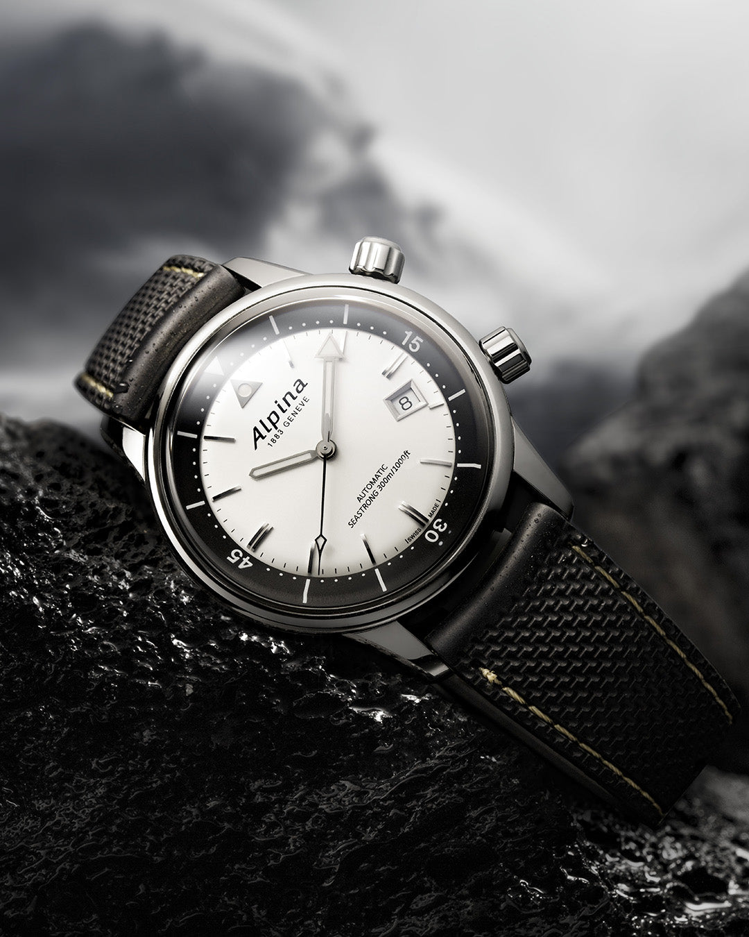 Alpina Seastrong Diver 300 Automatic Silver AL-525S4H6