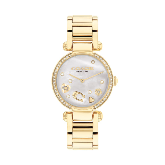 Coach 14504265 Women's Ionic Thin Gold Plated Steel Watch