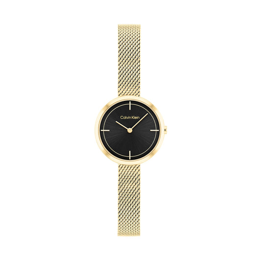 Calvin Klein 25200186 Women's Steel Mesh Watch