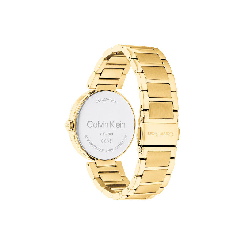 Calvin Klein 25200252 Women's Steel Watch