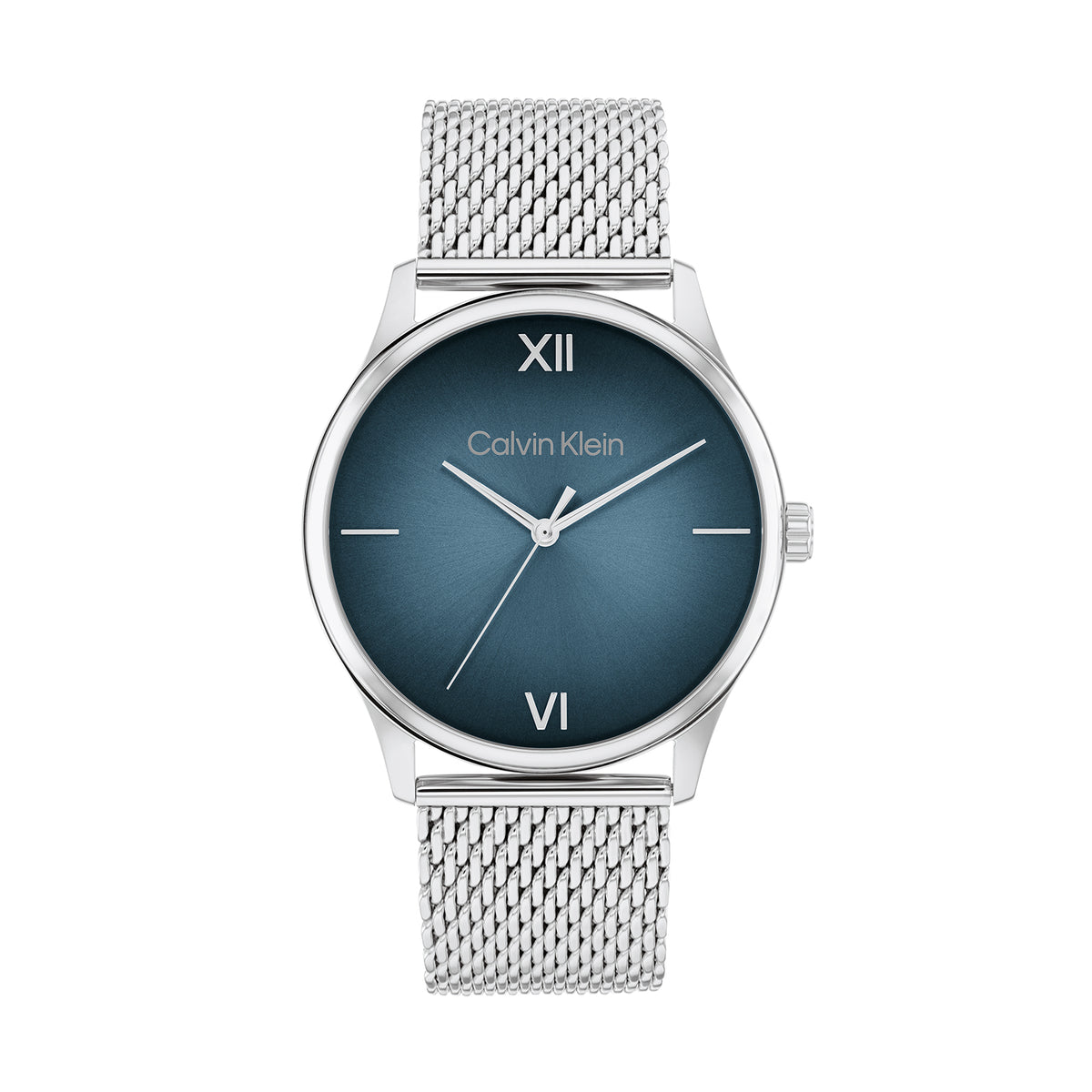 Calvin Klein 25200450 Men's Steel Mesh Watch | The Watch Store